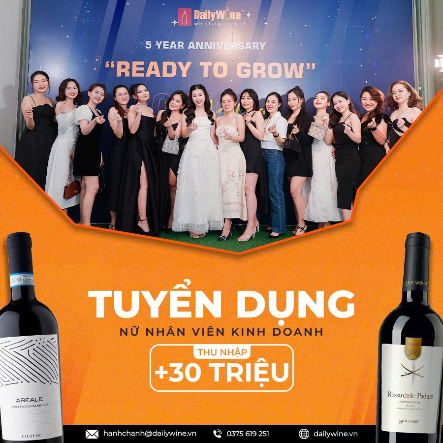 lĩnh vực hoạt động
